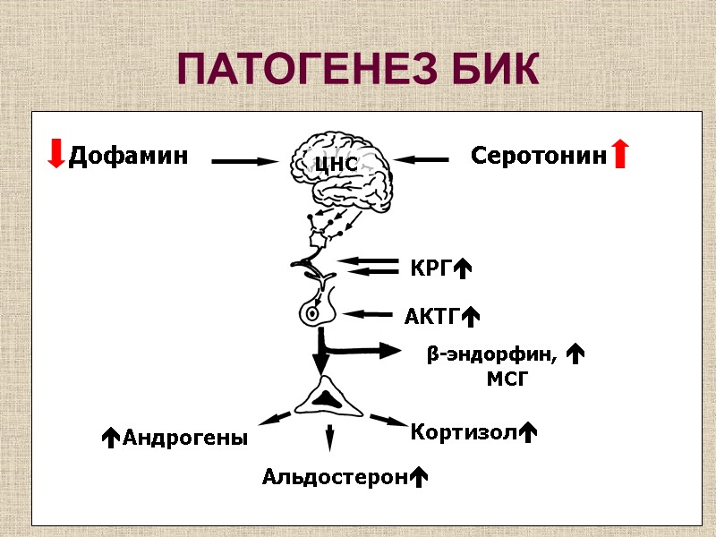 ЦНС Дофамин КРГ Серотонин β-эндорфин,  МСГ Альдостерон Андрогены Кортизол АКТГ ПАТОГЕНЕЗ БИК